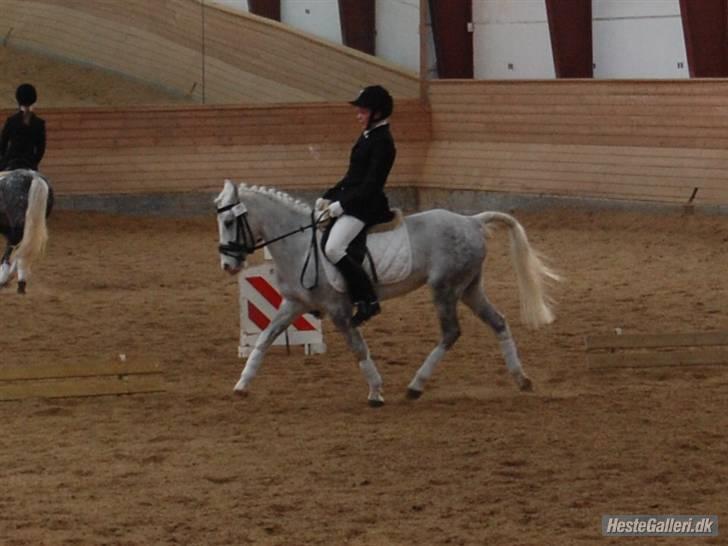 Anden særlig race G*Star SOLGT /': billede 12