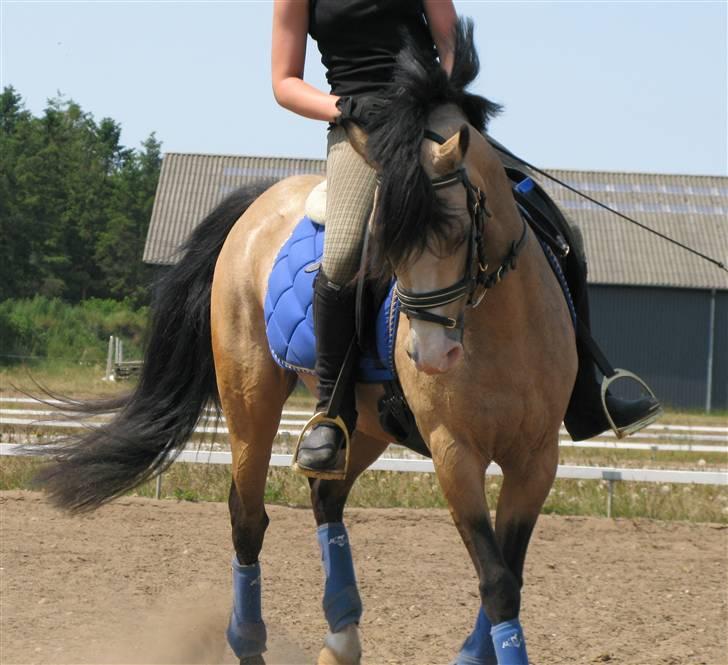 DSP "Golden Mulan"  - Mulan og Nadia træning 1. juli 2009 :) billede 20