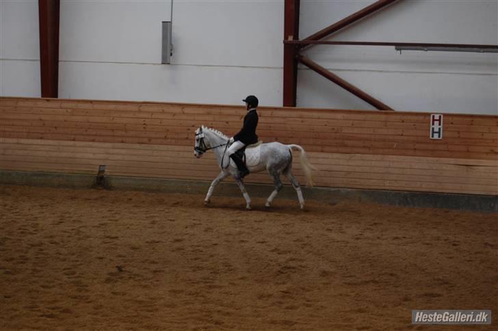 Anden særlig race G*Star SOLGT /': billede 16