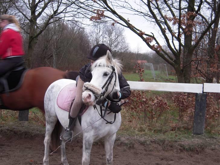 Anden særlig race G*Star SOLGT /': billede 17