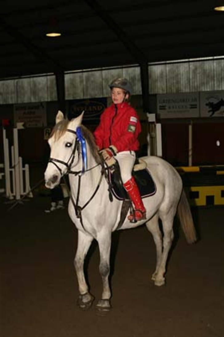 Anden særlig race Mirco(solgt) - 18) Mirco ved hans nye ejer i Sverige. her har de lige vundet en LA billede 18