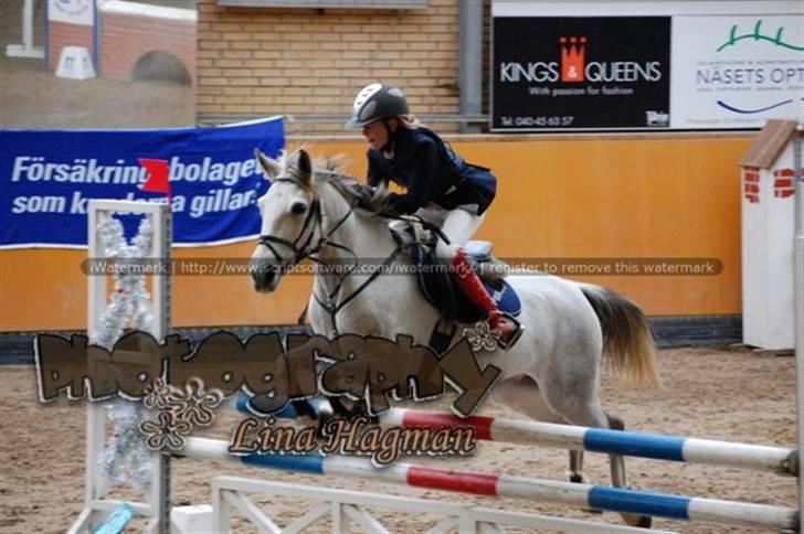Anden særlig race Mirco(solgt) - 19) Mirco og hans nye ejer i Sverige til stævne(jeg må godt bruge billedet)  billede 19