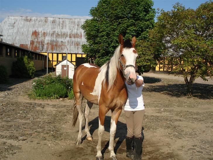 Pinto Julianebjergs Surprise - Surprise ude på gårdspladen billede 1