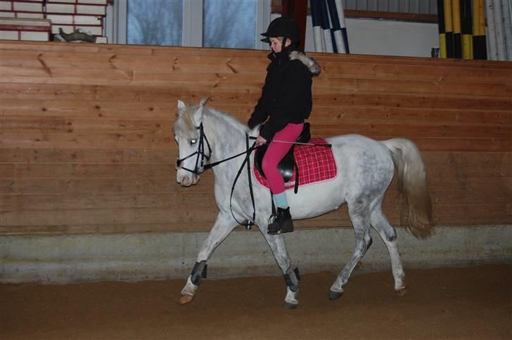 Anden særlig race G*Star SOLGT /': billede 18