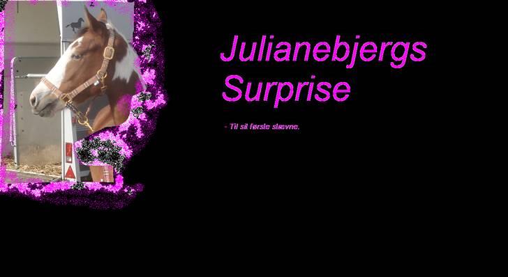 Pinto Julianebjergs Surprise billede 3