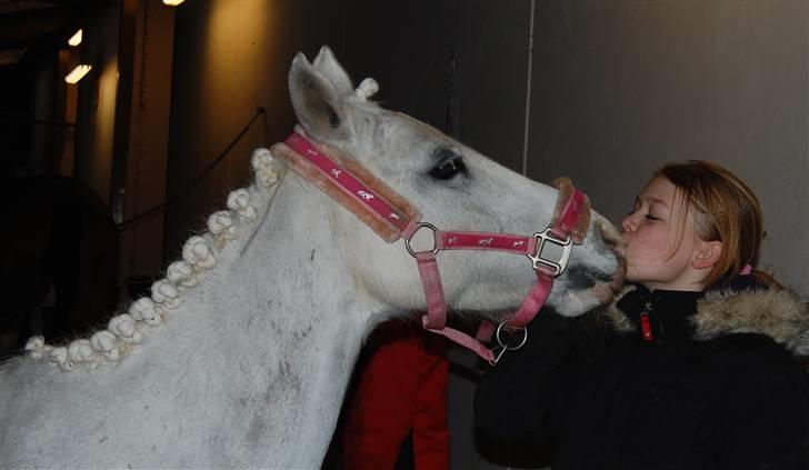 Anden særlig race G*Star SOLGT /': billede 19