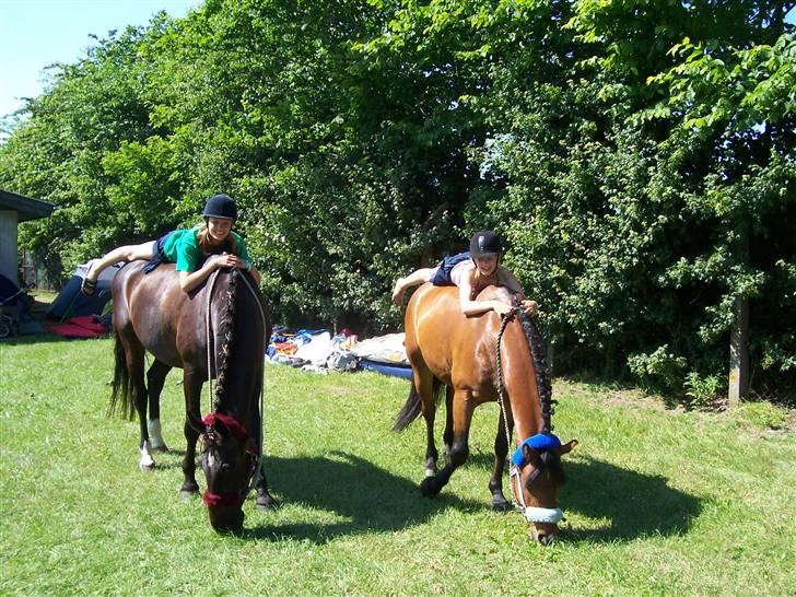 Connemara Enghøjs Sandy Touch-SAVNET - HYGGE<3 billede 6