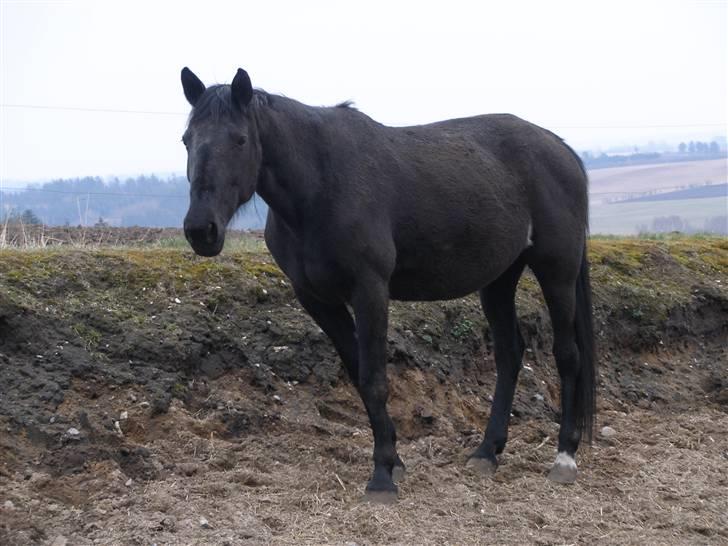 Traver jane bonita billede 2