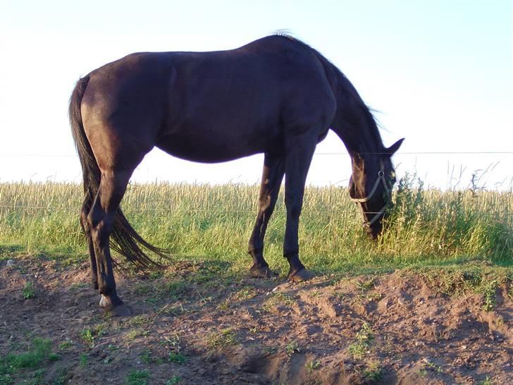 Traver jane bonita billede 4