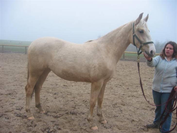 Frederiksborg Sassi Rødsten - min veninde Julie viser frem billede 2