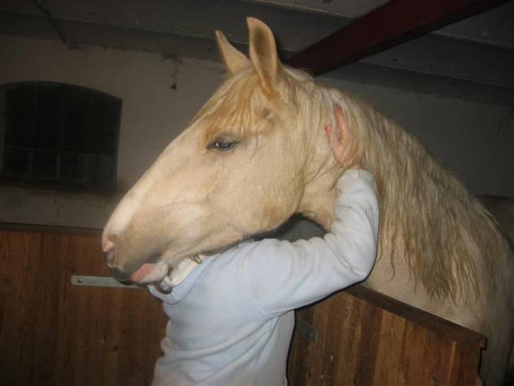 Frederiksborg Sassi Rødsten - her bliver hun nusset af Julie billede 7