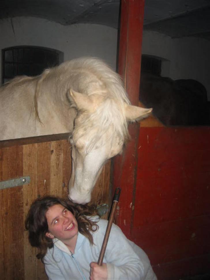 Frederiksborg Sassi Rødsten - hvad laver du dernede? jeg troede vi nussede.. billede 8