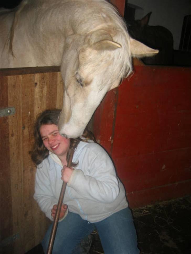 Frederiksborg Sassi Rødsten - men vi kan da sagtens lege lidt.. :-) billede 9