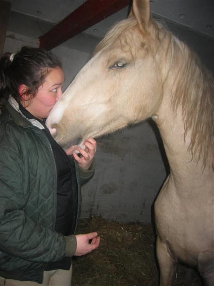 Frederiksborg Sassi Rødsten - et kys fra mig til prinsessen... billede 10