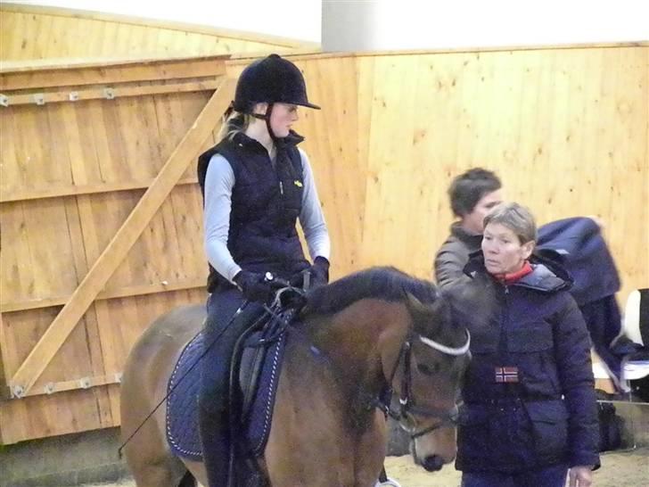 DSP Røgild´s Selina - :) billede 5