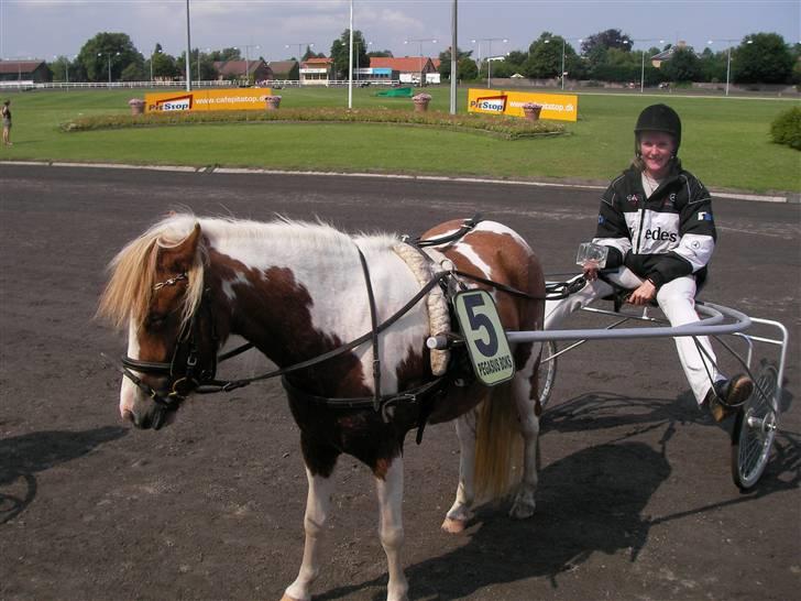 Pinto Atlanta Nyholm - til præmieoverrækkelse på lunden i handicap løbet, hvor vi blev nummer fire i tiden 3.01. billede 5