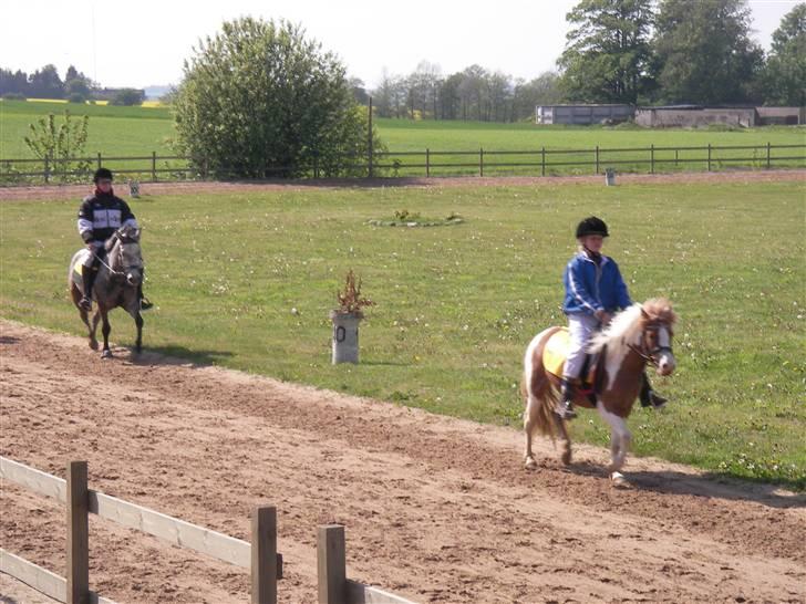 Pinto Atlanta Nyholm - manja der rider monte på atlanta, hvor hun i øvrigt er på vej i mål som nummer et.. billede 8
