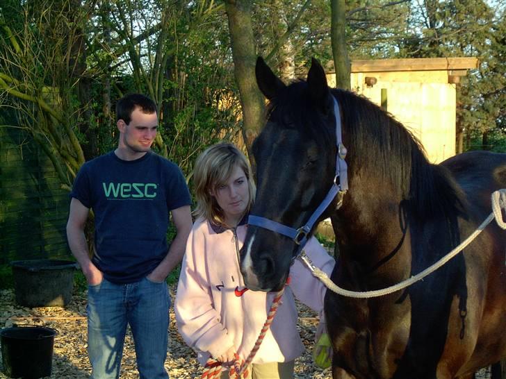 Anden særlig race Snip "Stoffer" Solgt - Kæresten er med ude og se Stoffer. billede 6