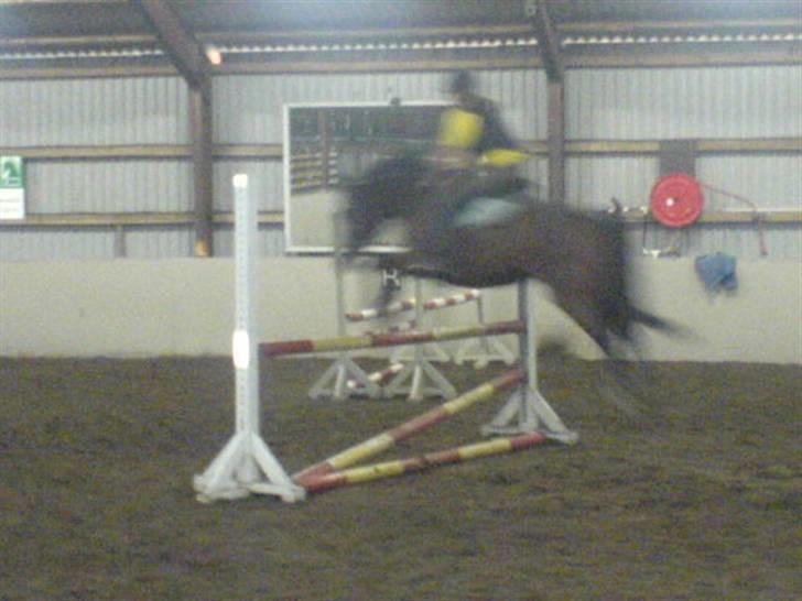 DSP Atlanta (DØD) R.I.P - Spring Time ;D Foto : Katrine Olsen  billede 10