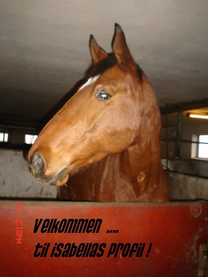Oldenborg Isabella  billede 1