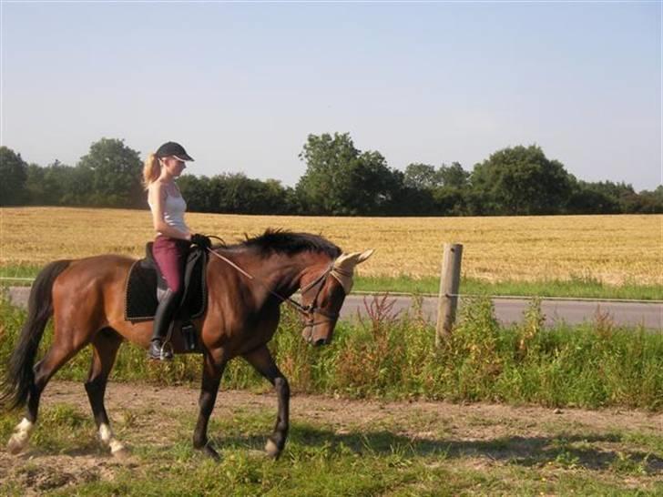 Oldenborg Horsebjerg Twister - en lille skridt, han er så dygtig.. billede 8