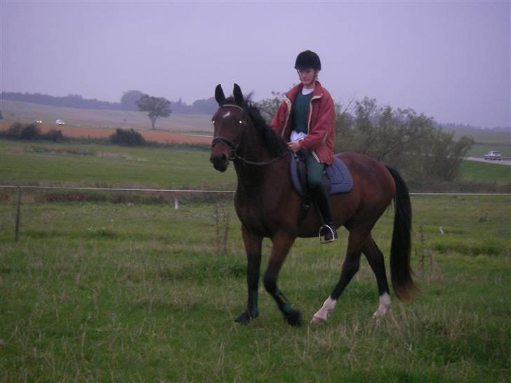 Oldenborg Horsebjerg Twister - efteråret 2006... hov hvem tager billede af mig?? billede 14