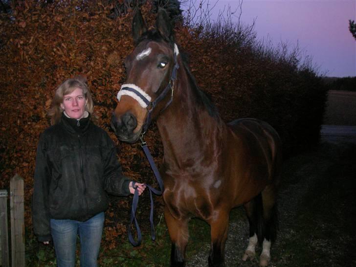 Oldenborg Horsebjerg Twister - Twister og mig i indkørselen.. billede 15