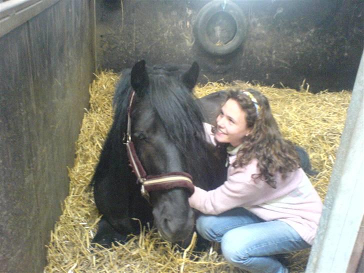 Fell pony Falco  (Gamle part) - Er du træt Falco ? / Falco og jeg billede 6