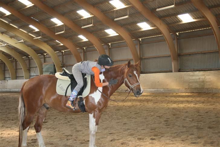 Pinto Polle - Bidløst med Polle-drengen <3 billede 5