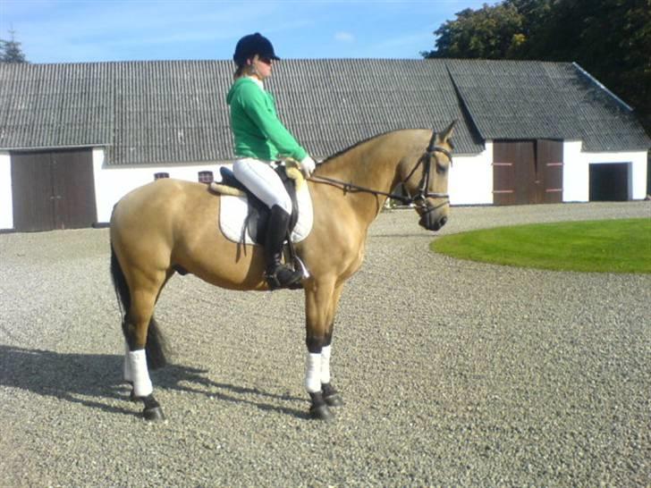 Anden særlig race * Stjerne * billede 4