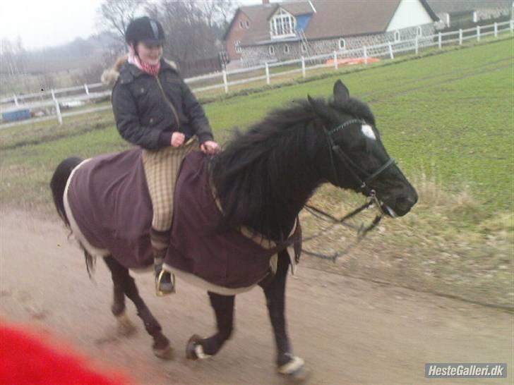 Anden særlig race Lightning R.I.P :'( - ved ikke helt hvad jeg laver :D billede 11