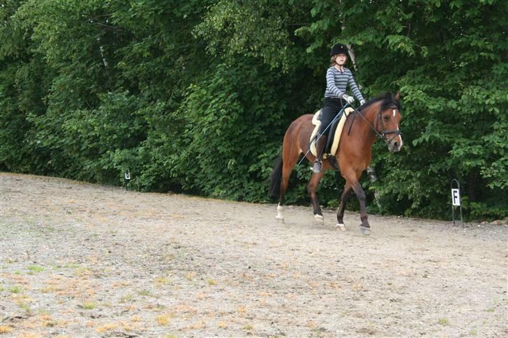 Anden særlig race Miss Malou - solgt - mig og Miss Malou på banen billede 3