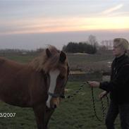 Anden særlig race A´ttila<33 død