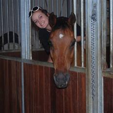 Anden særlig race Diango