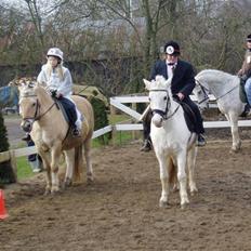 Anden særlig race Mulle R.I.P