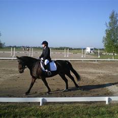 New Forest Roløkke Superman