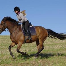 New Forest Roløkke Superman