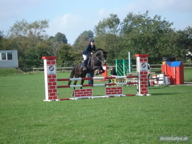 Traver Bogard -  - Klubmesterskab 2008 billede 13