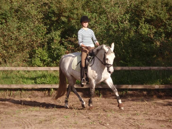 DSP Michel  - hjemme sommeren 08 billede 11