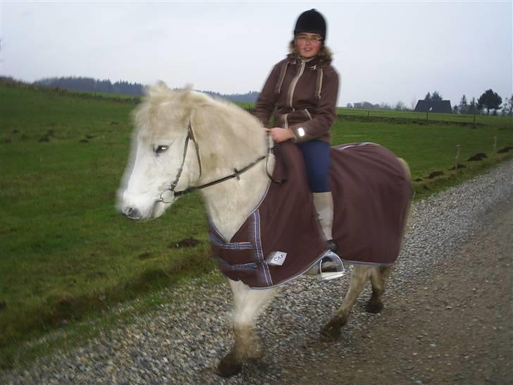 Anden særlig race Miss Jackie *gamle part* - På vej ned til ridebanen billede 9