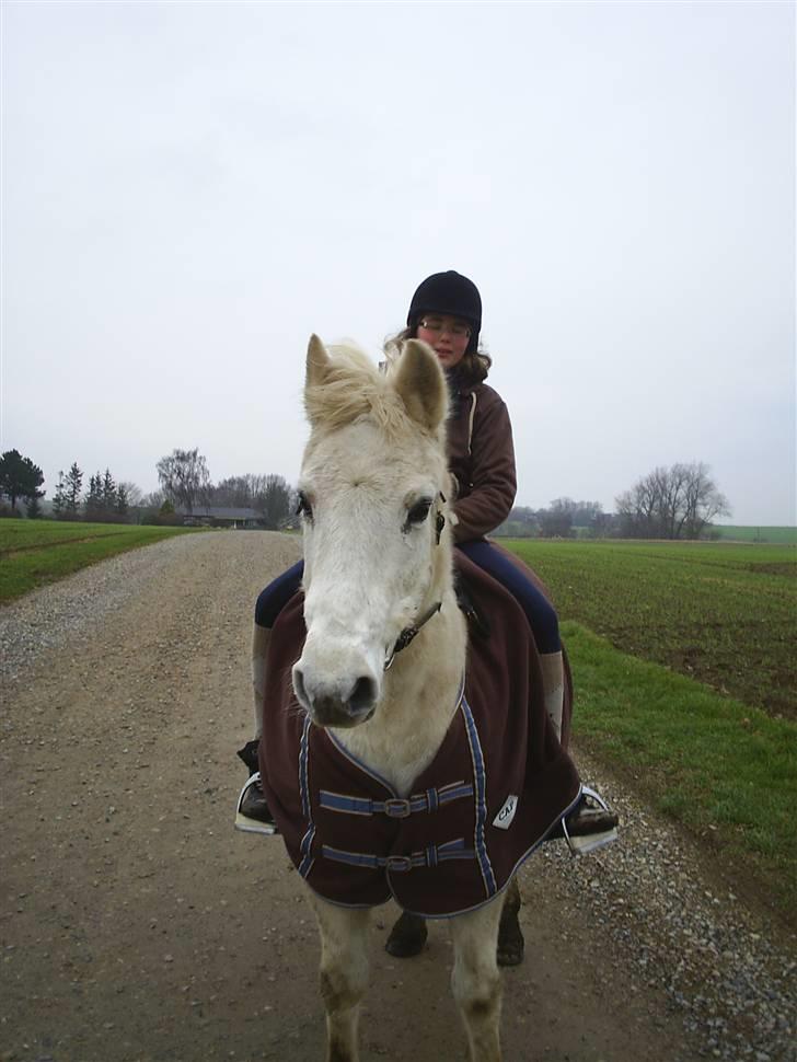 Anden særlig race Miss Jackie *gamle part* - Smuk ikke? billede 10
