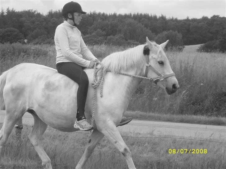 Anden særlig race Miss Jackie *gamle part* - foto - camilla billede 11