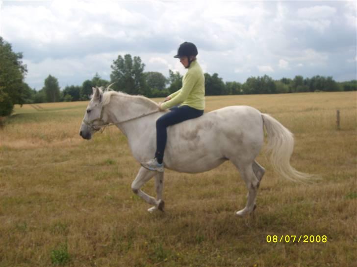 Anden særlig race Miss Jackie *gamle part* - Jackie billede 12