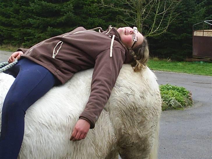 Anden særlig race Miss Jackie *gamle part* - Jackies hovede. billede 13