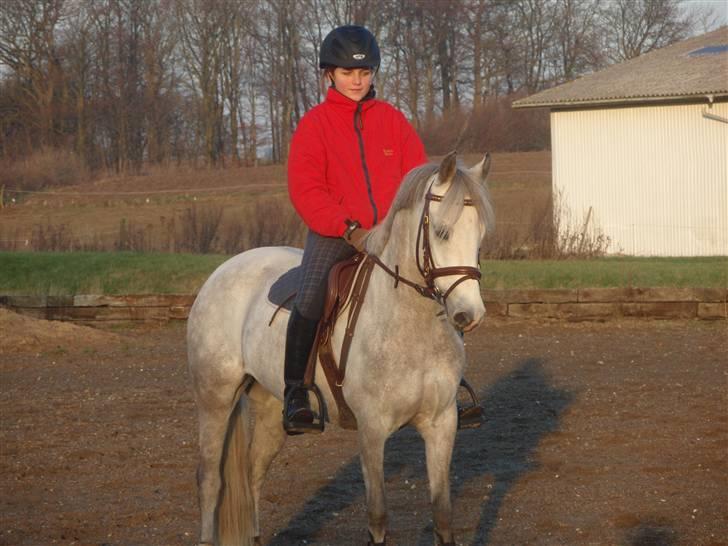 DSP Flicka  - Flicka og mig, julen 2007 billede 7
