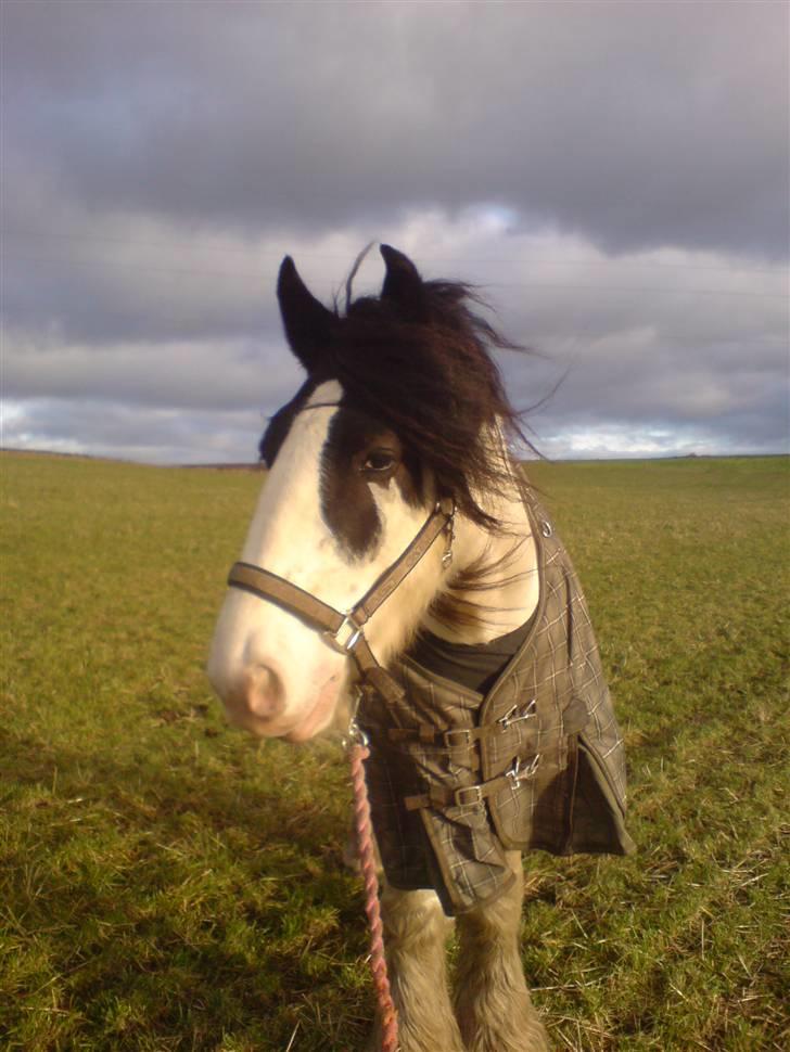 Tinker Tinkergårdens billyboy<3 - .: mon der er noget jeg skal kigge på derover d; billede 10