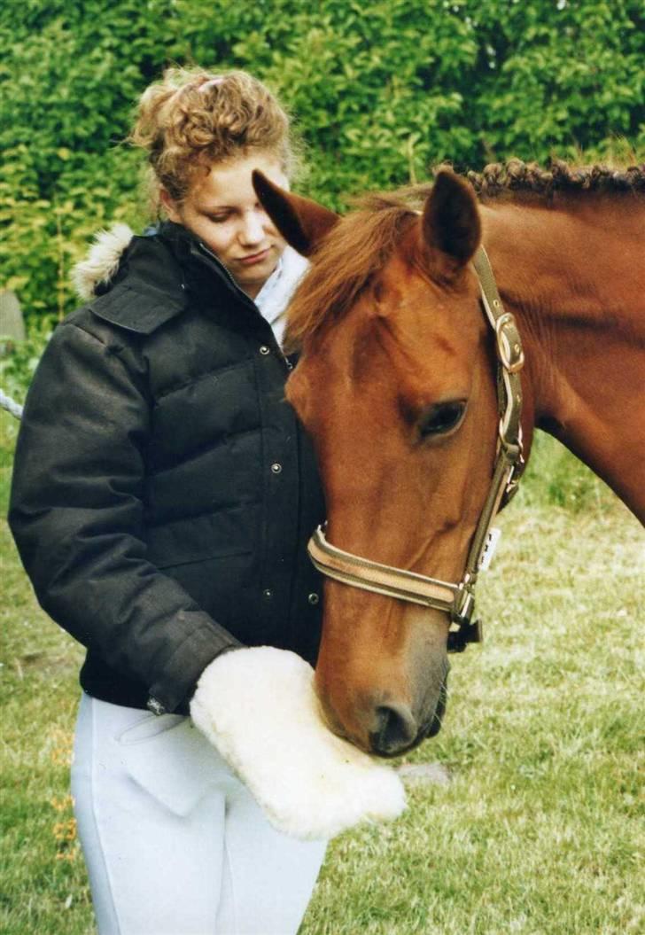 DSP Englykkes Ginger - søde min!<3 billede 19