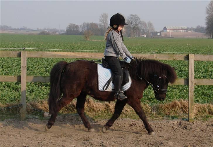 Anden særlig race Tarzan billede 13