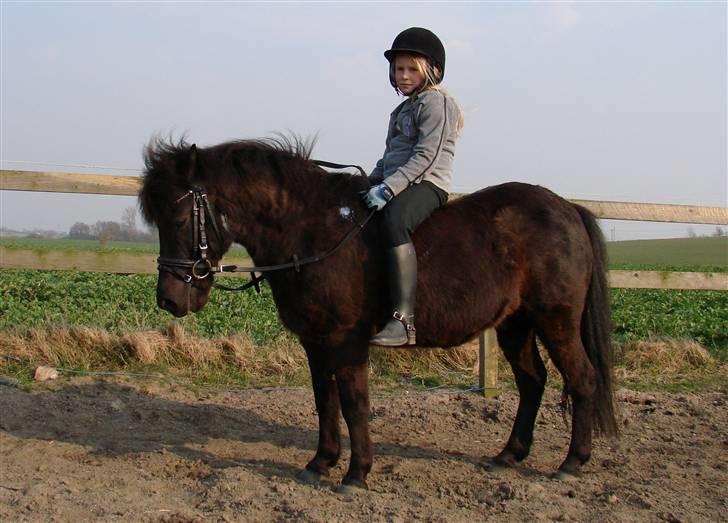 Anden særlig race Tarzan billede 14