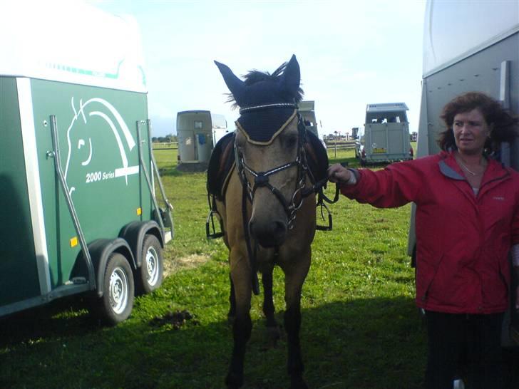 Anden særlig race * Stjerne * - efter vi havde redet mb :D billede 8